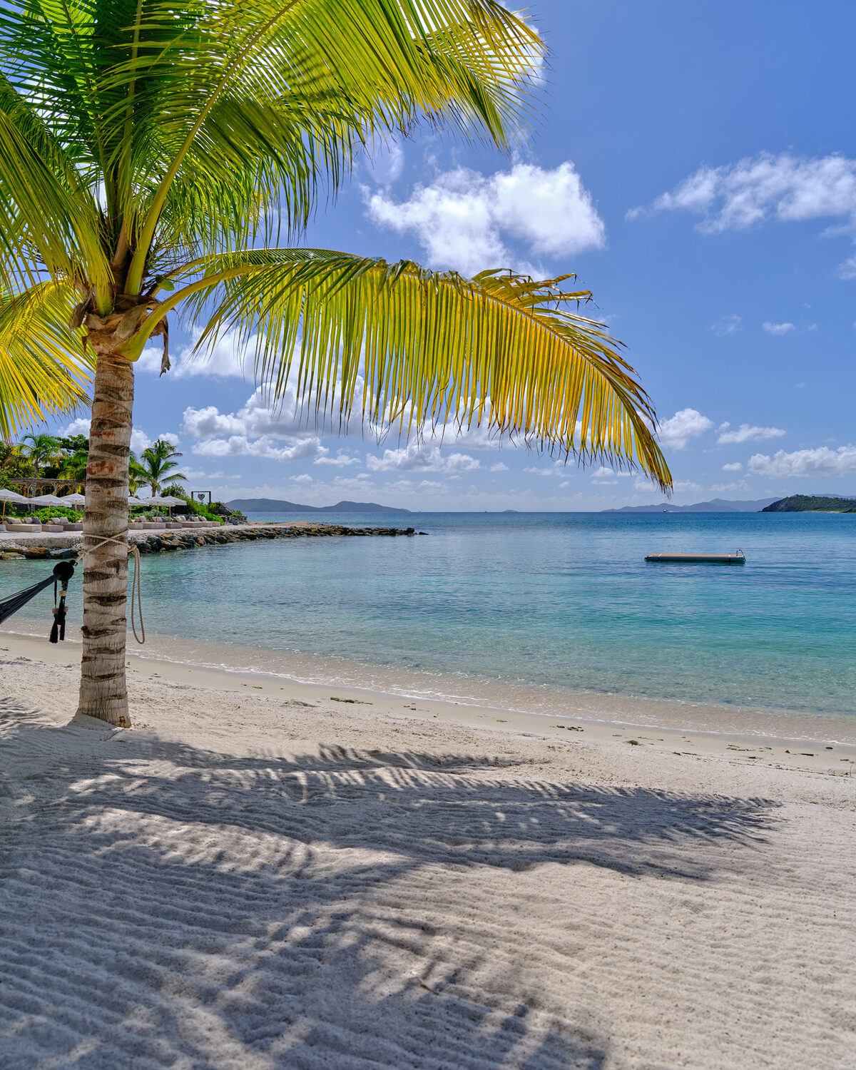 Palm tree on the white sand beach at The Aerial BVI